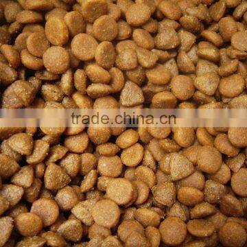 All Over the World Twin Screw Extruder to Make Dog Food photo-4