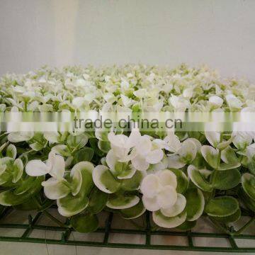 Outdoor Decor Artificial Grass Plastic Graden Fences photo-2