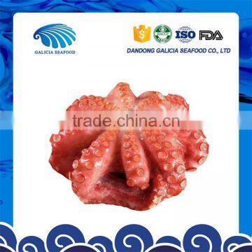 fresh frozen octopus vulgaris in ball shape from superior producer