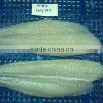 Well trimmed Pangasius fillet