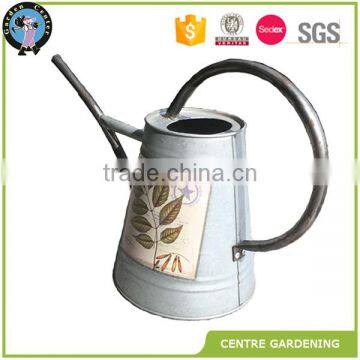 Plastic garden galvanized watering cans