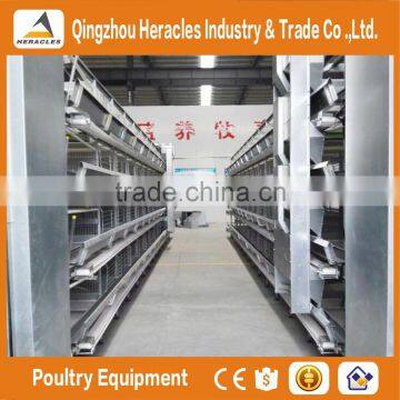 Heracles Factory Price Poultry Equipment Automatic Layer Chicken Egg Cages photo-6