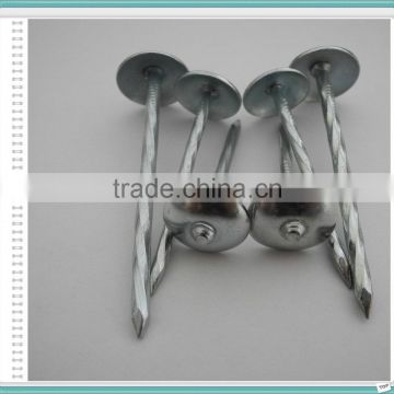 Galvanized roofing nai /roofing nail with umbrella head