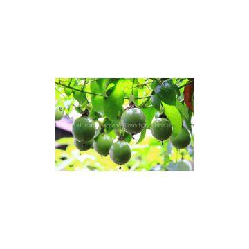 Hot Luo han guo extract
