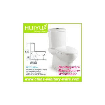 Washdown Back to Wall Two Piece Ceramic Toilet