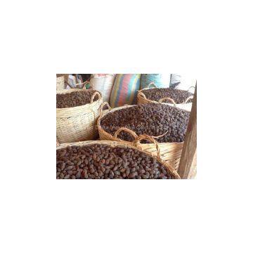 MALVA NUTS Vietnam 2016 ( Jolie Whatsapp Viber 84 98 358 7558)