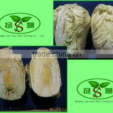 (HOT) Cheap fresh cabbage exporters in China