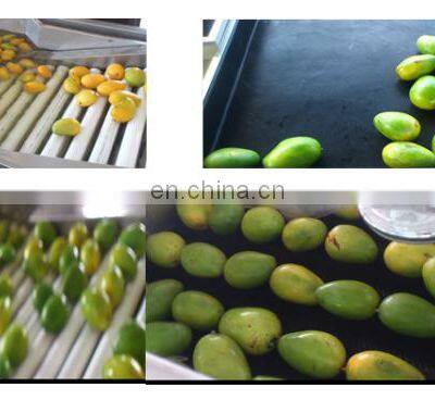 Fruit and Vegetable Cleaning, Waxing, Drying and Grading Production Line