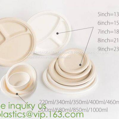Dishes & Plates Dinnerware Blister Packaging Resturant Disposable Food Serving Tray Food Disposable Container photo-3