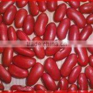 british red kidney beans