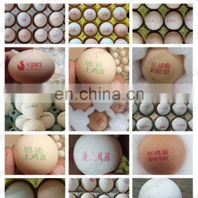 Eggs Expiry Date Printing Machine Egg Printer Ink Cartrige Inkjet Coding Machine photo-2