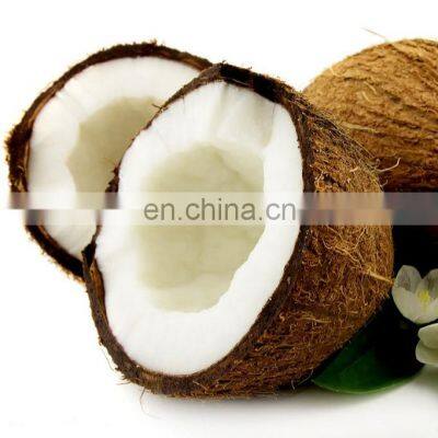 Coconut milk process machine juice production processing line