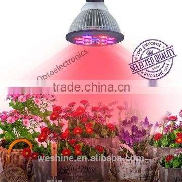 Attractive RED&BLUE Par38 LED 24W E27 Hydroponic LED Plant Grow Light