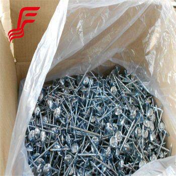 Hot Selling Galvanized Iron Umbrella Roofing Nails Cap Style With Smooth Shank for Steel Roofing Sheet Cheap Option photo-4