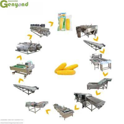 High Quality Continuous Fresh Sweet Corn Cooking Machine Sweet Corn Processing Line