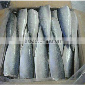China Manufacture Frozen Aquatic Pacific Mackerel Fillets Seafood frozen spanish mackerel