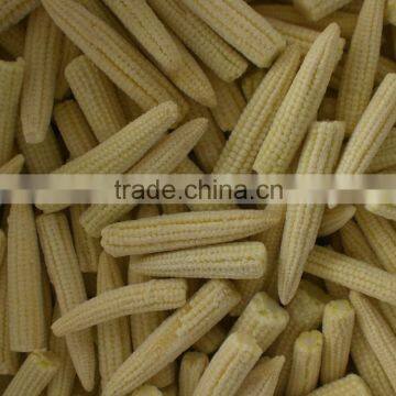 top grade IQF frozen baby corn