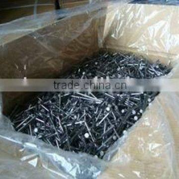 polished bright common iron wire nail