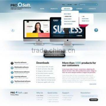 Customized Software Development
