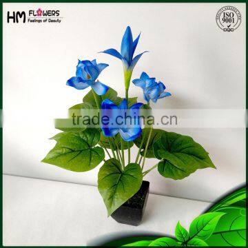 Hot New Products For 2015 Potted Plant