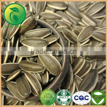 Hot Sale Sunflower Seeds Vegetable