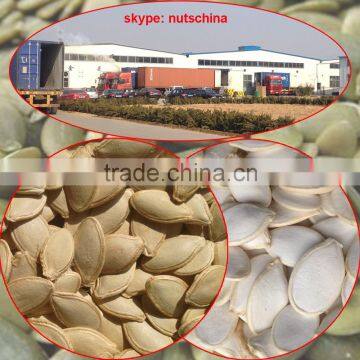 Shine Skin Pumkin Seed Kernels photo-6