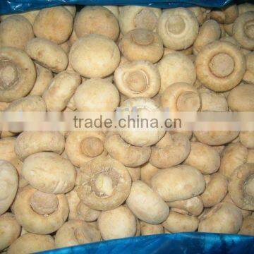 Frozen white champingon mushroom