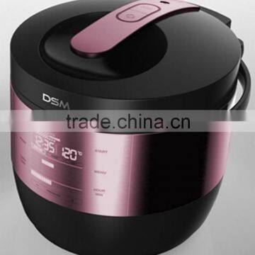 Stainless steel Pressure Cooker CY-D60