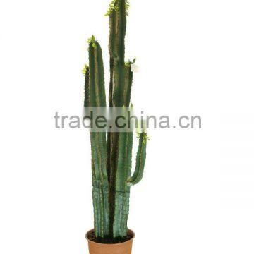 Artificial cactus 1441