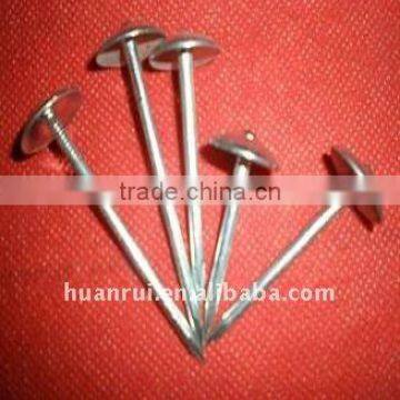 neoprene washer roofing screw2-9