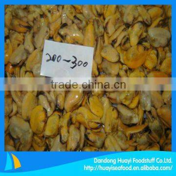 high quality cooked mussel without shell