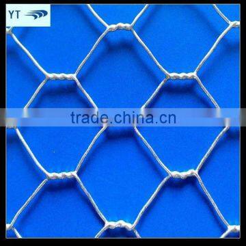 BWG22 Hot dipped galvanized Hexagonal Wire Mesh (10 year factory)