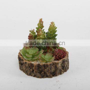 Wholesale Decorative succulents resin pot Planters