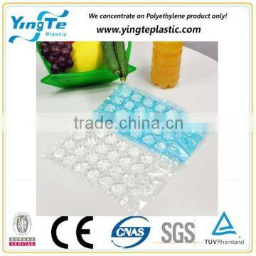 Google Made in China Hot Sale Portable Dry Ice Bags photo-5