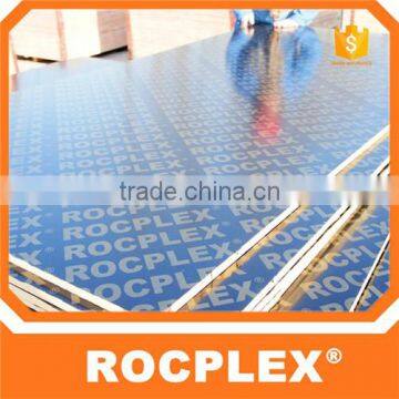 Wiggle Board Plywood photo-6