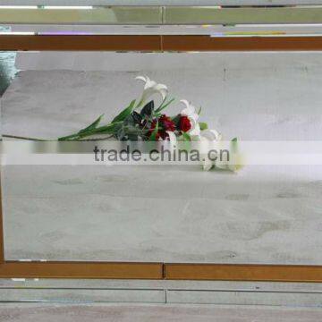 Medium Size Rectangular Color-mixed Entrance Hall wall Mirror, Silver and Copper Mirror, Dressing Mirror. Good Price