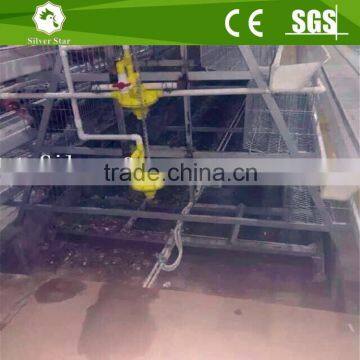 Good sales A type automatic poultry chicken cage farm equipment