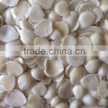 Supply Blanched apricot kernels (longwang type,Youyi type)