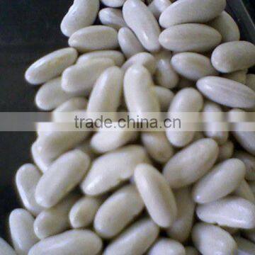 White Kidney Beans