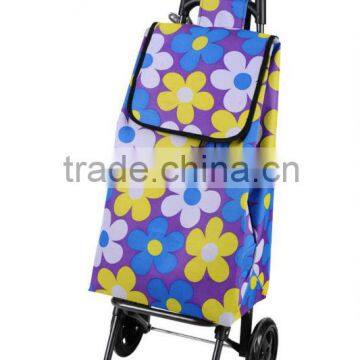 Shopping cart, shopping trolley
