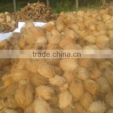 Delhi Coconuts photo-3