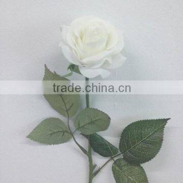 White roses long stem roses wedding flowers