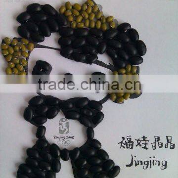 Black Kidney Bean/Black Turtle Bean( 2011 crop, Heilongjiang origin, HPS)