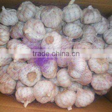 Supply 2016 Fresh Normal White Garlic photo-4