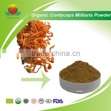 Most Popular Organic Cordyceps Militaris Powder