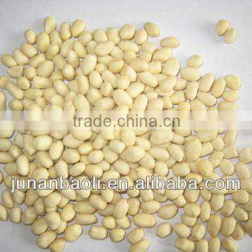 blanched peanut kernel 25/29 29/33 41/51 51/61