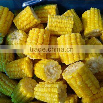 2016 New Crop Frozen IQF Sweet Corn Cob photo-4
