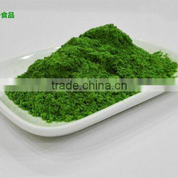 100% Pure Organic Barley Grass Powder For Healthcare Supplement