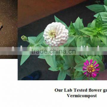 vermicompost organice fertilizer