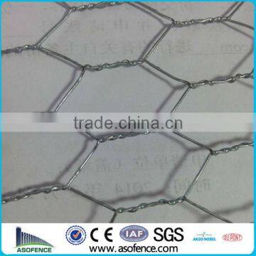 1" Hex Netting/Chicken Wire (Anping A.S.O Factory)